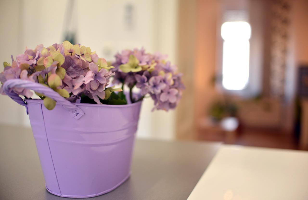 Secret Garden Apartment Zagreb Luaran gambar